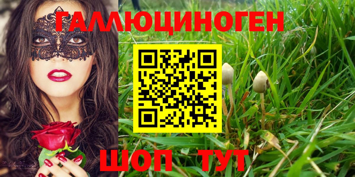 Галлюциногенные грибы ЛСД Лесной