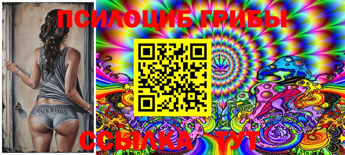Лесной  Галлюциногенные грибы Cubensis  Вход с VPN  Псилоцибиновые грибы мицелий 